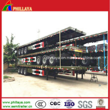 Flatbed Semi Trailer (Semirremolque portacontenedores)